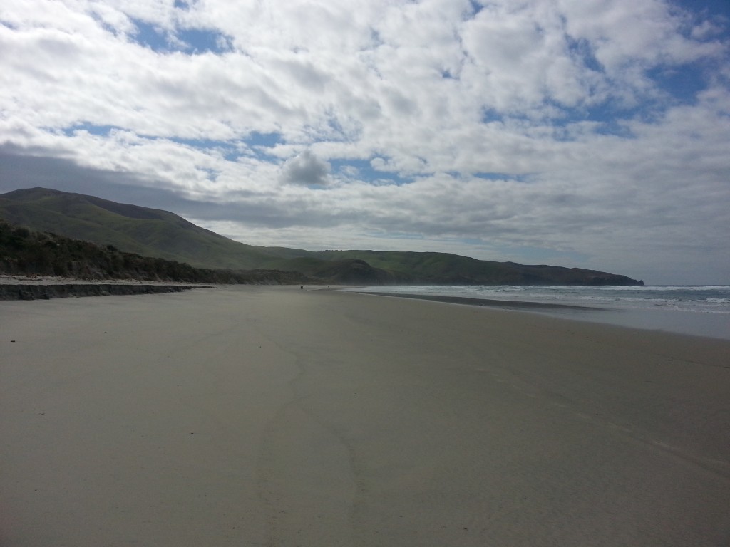 Rush hour on Allans Beach