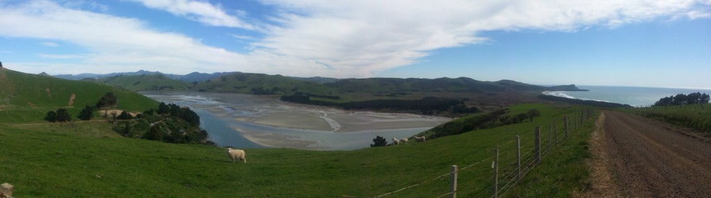 Looking back down on Papanui Inlet, with Victory Beach on the right