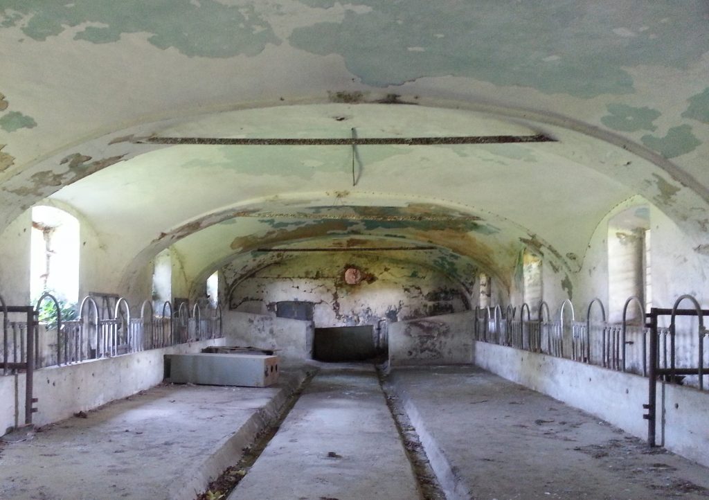 Interior of farm building...perhaps for milking?