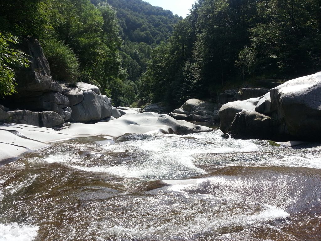 Torrente Cervo