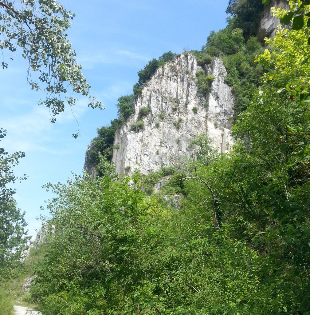 The cliff that fuelled the lakeside furnaces for eight centuries