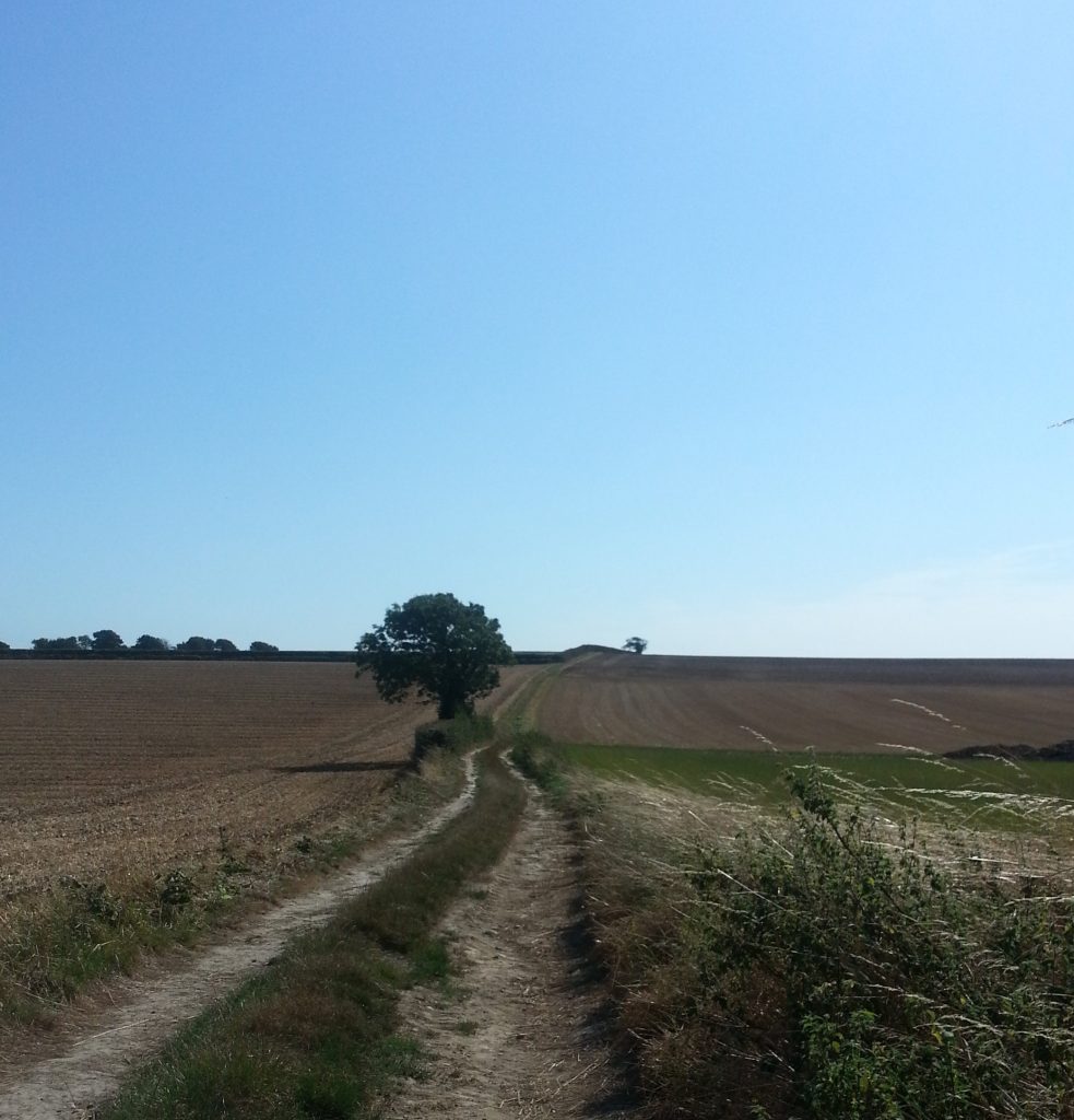 Trail through farm land