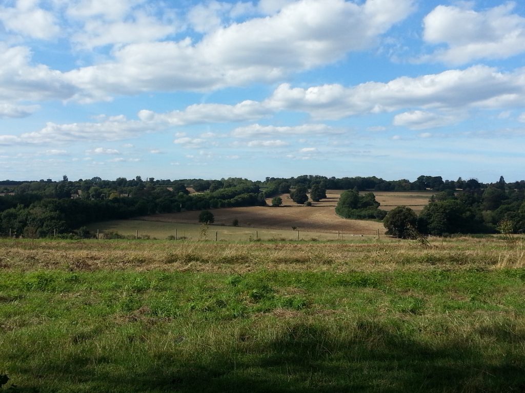 Looking over the fields near Patrixbourne