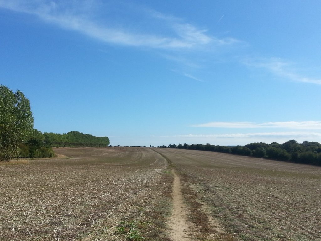 The long stretch through the fields