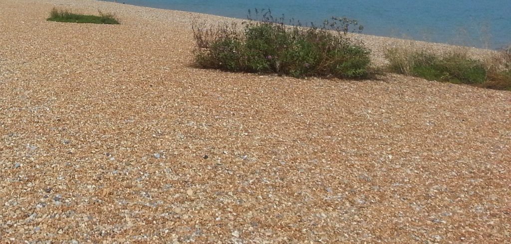 Beach at Deal