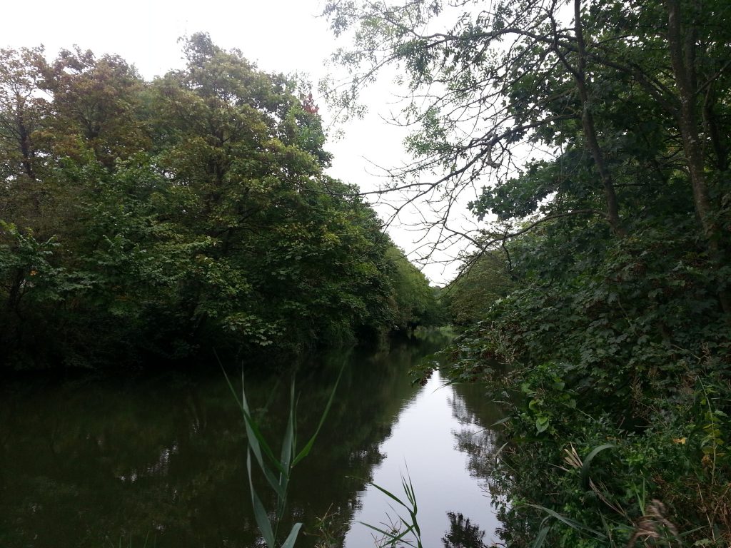 The canal