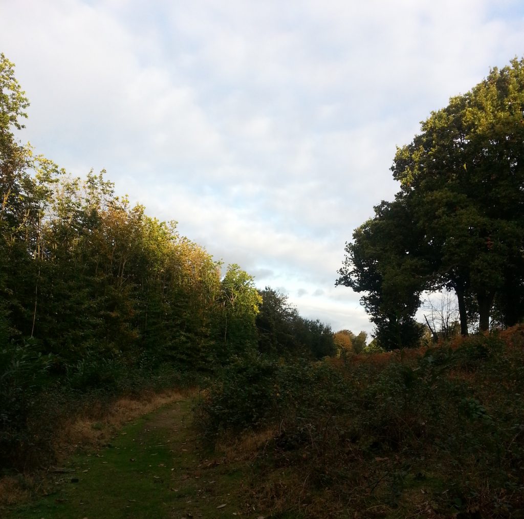 Passing through Bigbury Camp