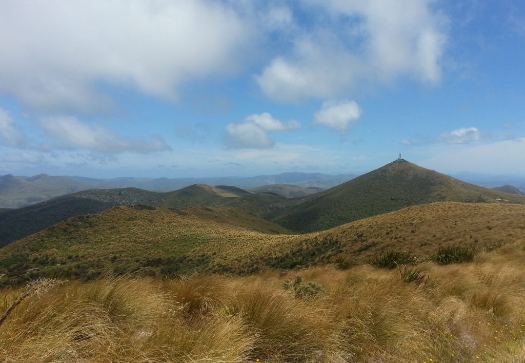 The grand Hokonui Hills