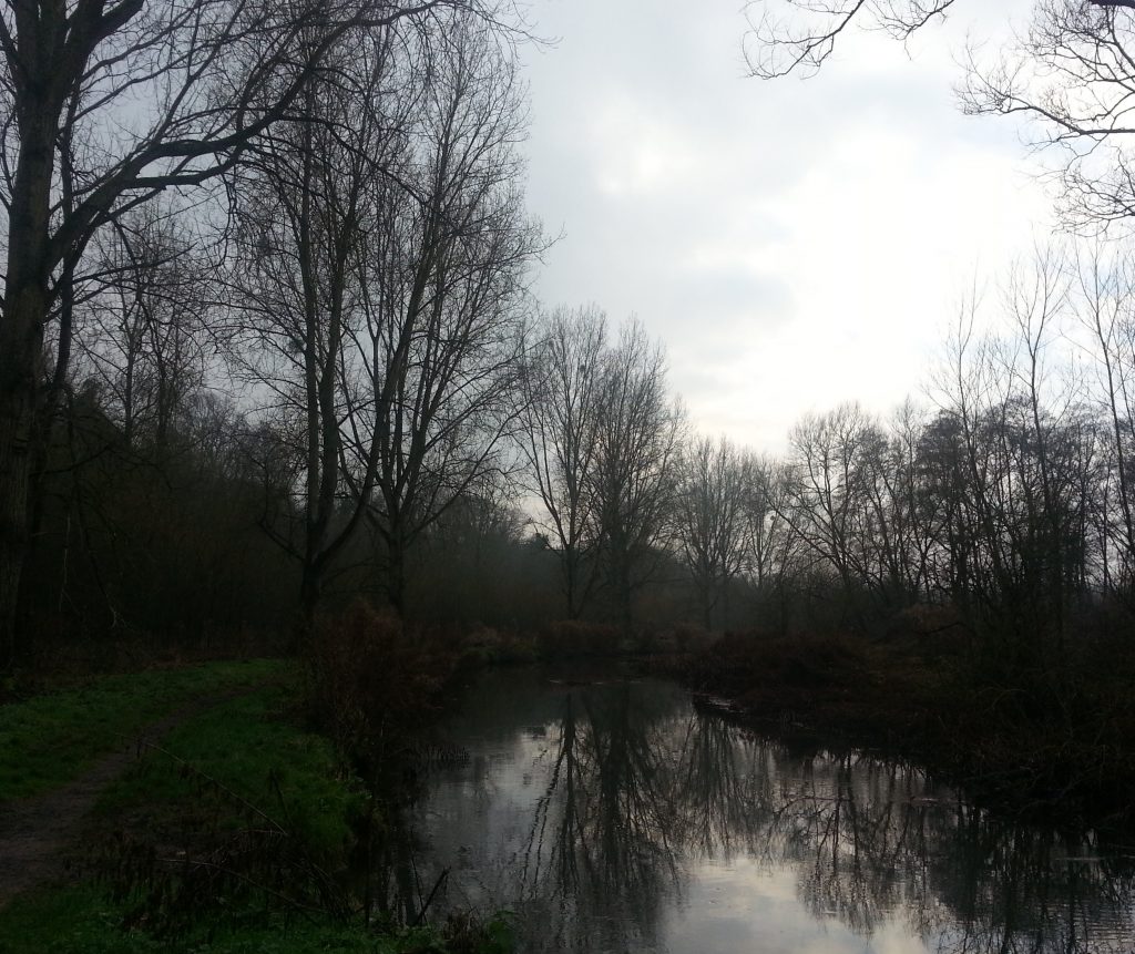River Avon on a winter afternoon