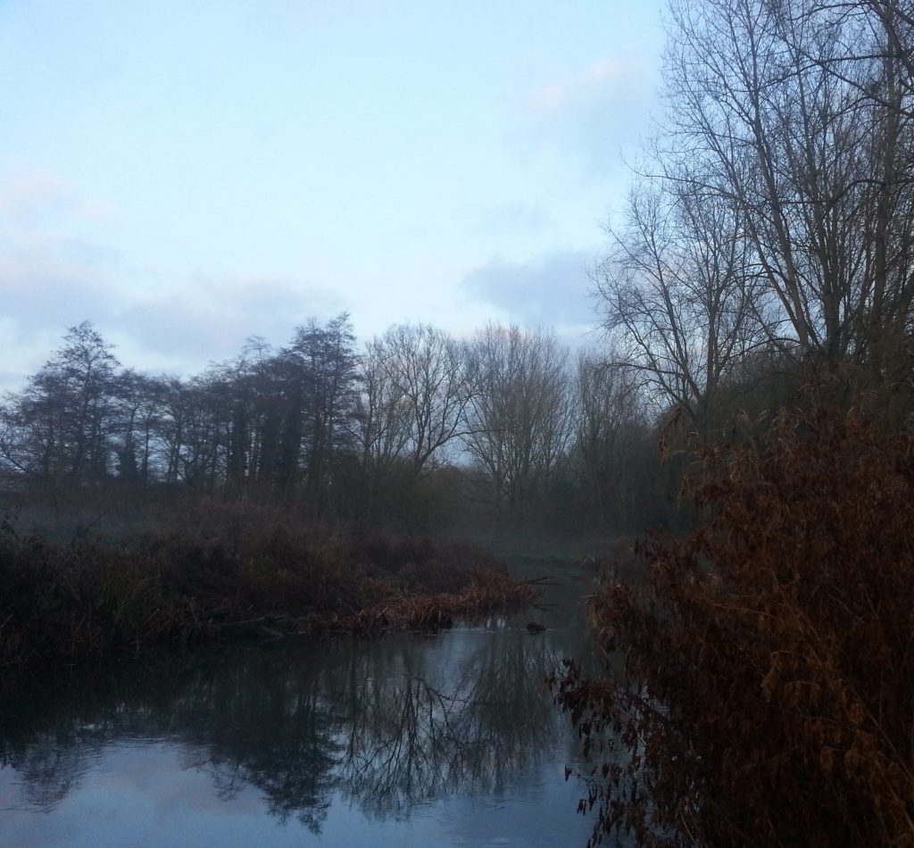 Avon River in late afternoon