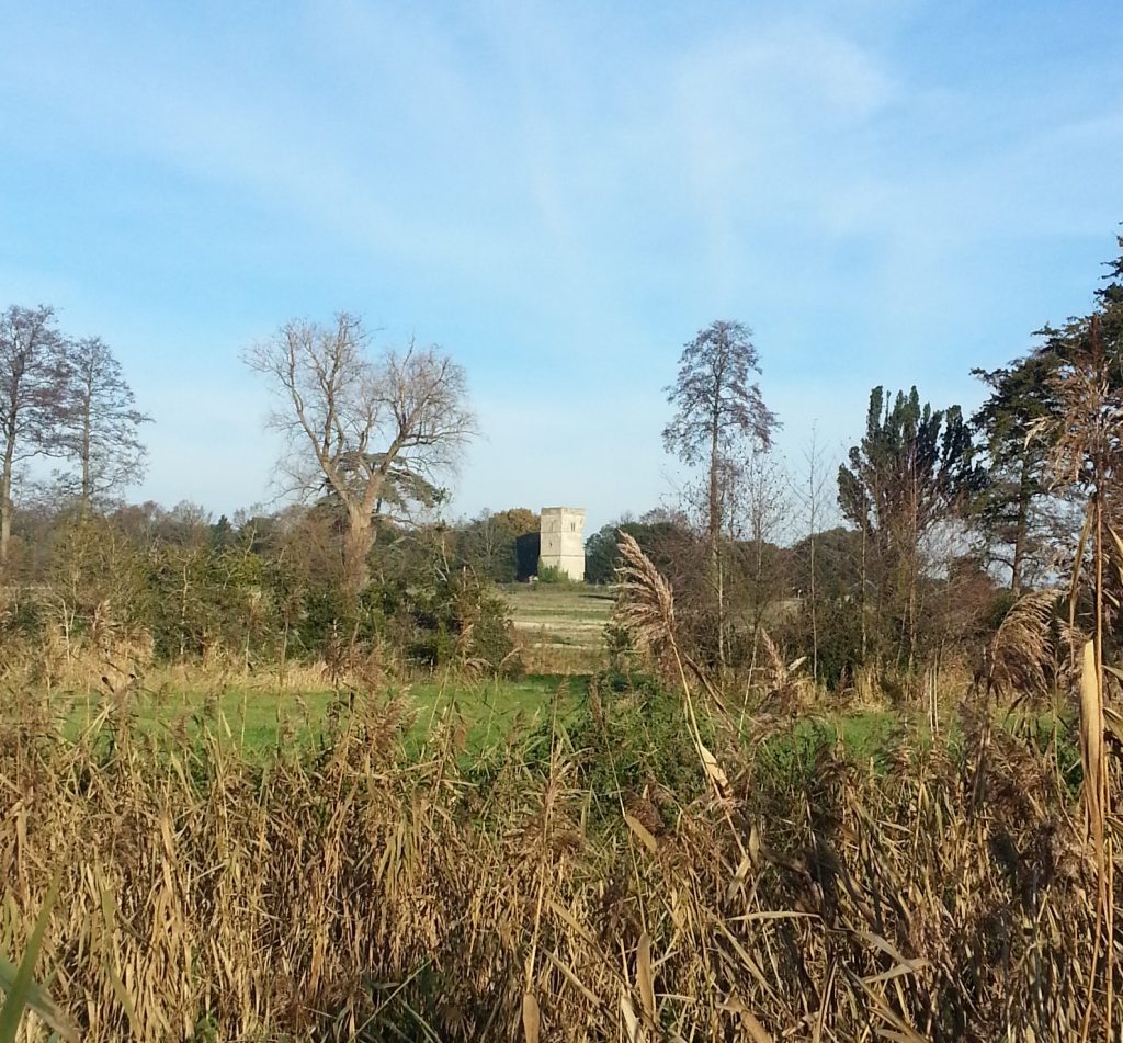 Fornham St Genevieve church tower