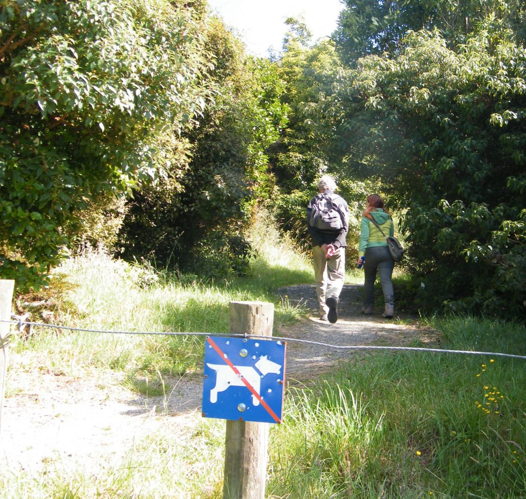 Heading into the bush. Photo credit: Sue Nunn