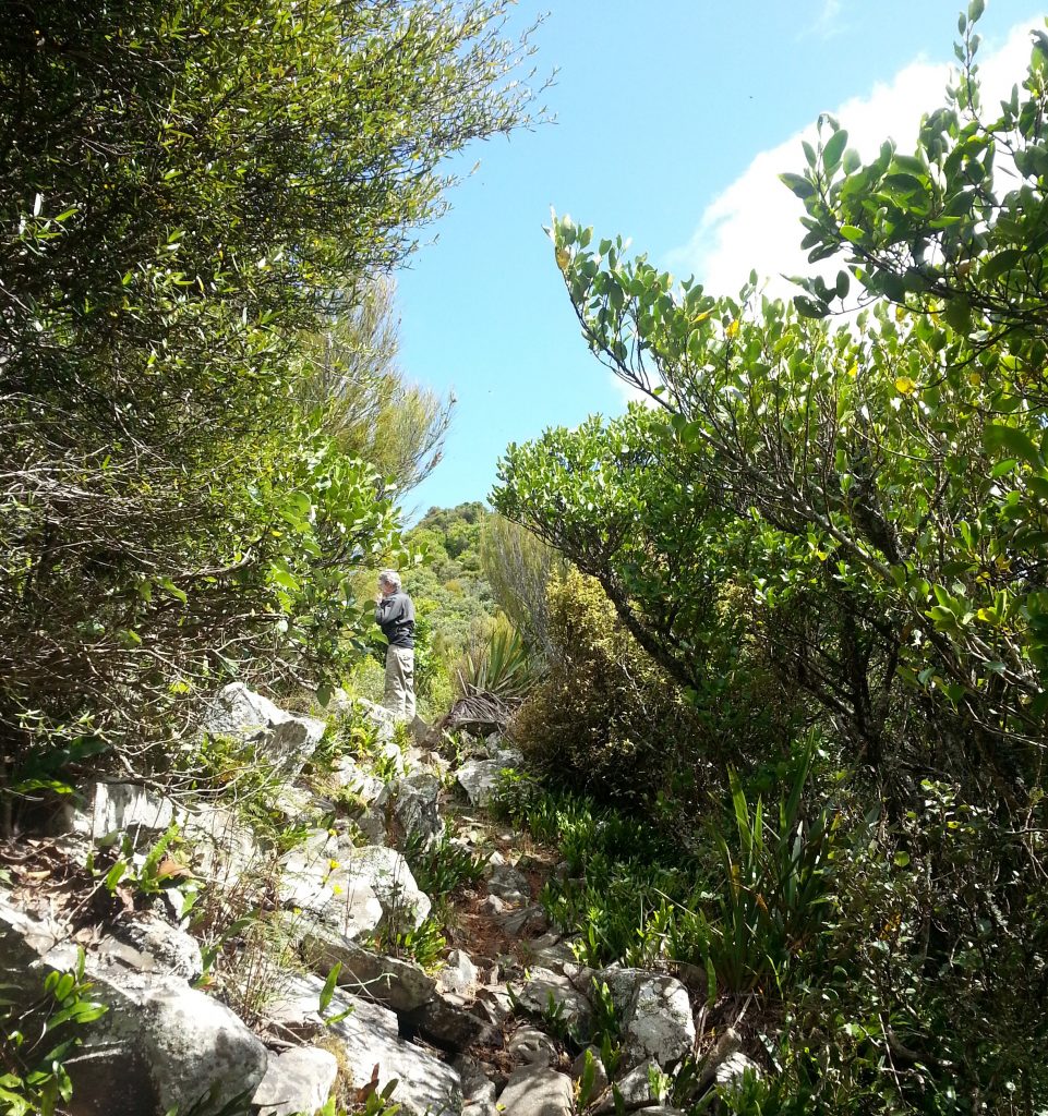 Rocky path with disappearing Dad