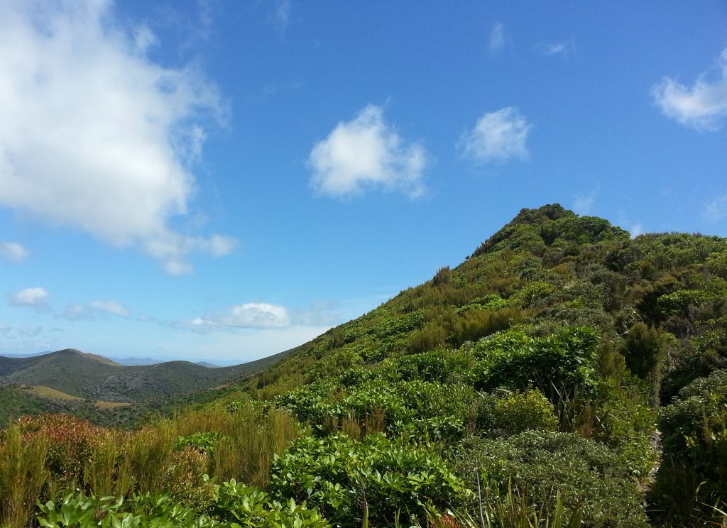 East Peak ridge