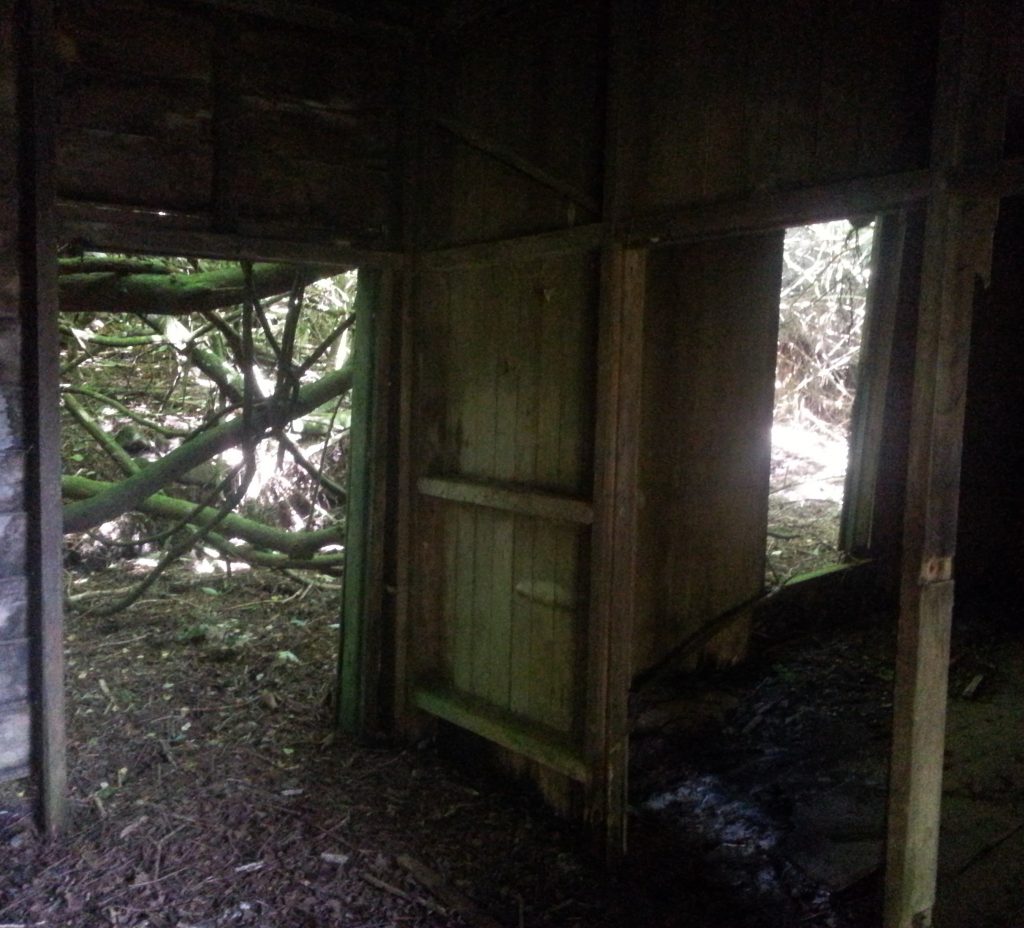 Interior of Young house