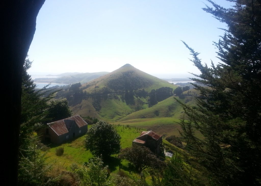 Larnach's Model Farm with Harbour Cone beyond