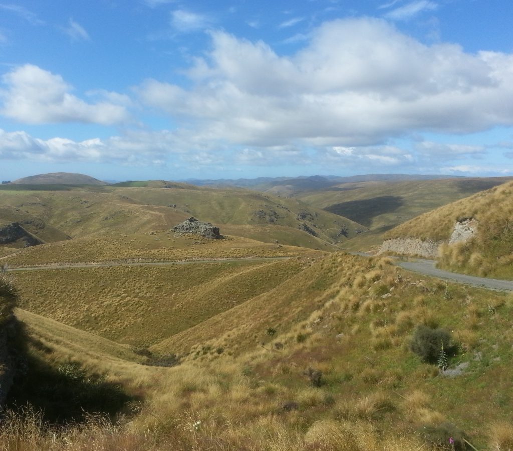 The hills of Otago