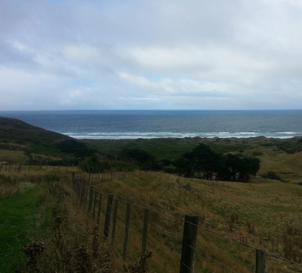 Looking toward Beattie's farm