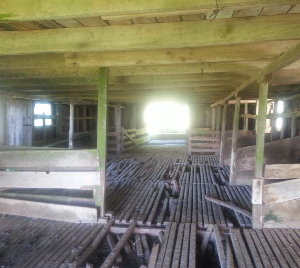 Interior of cattle byre