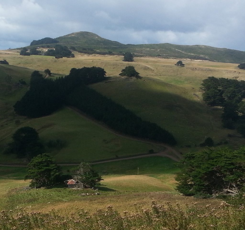 Ruin seen from the Nyhon Track