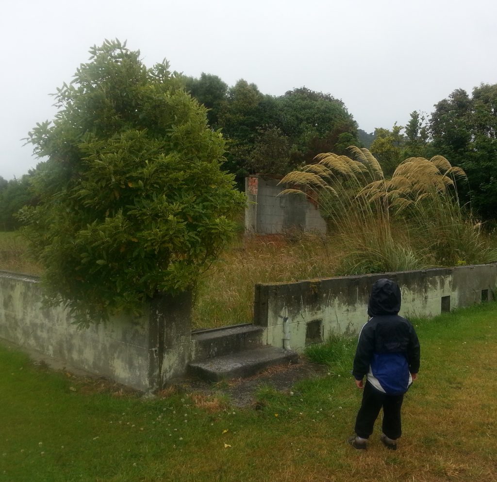 Truby King Reserve asylum foundation