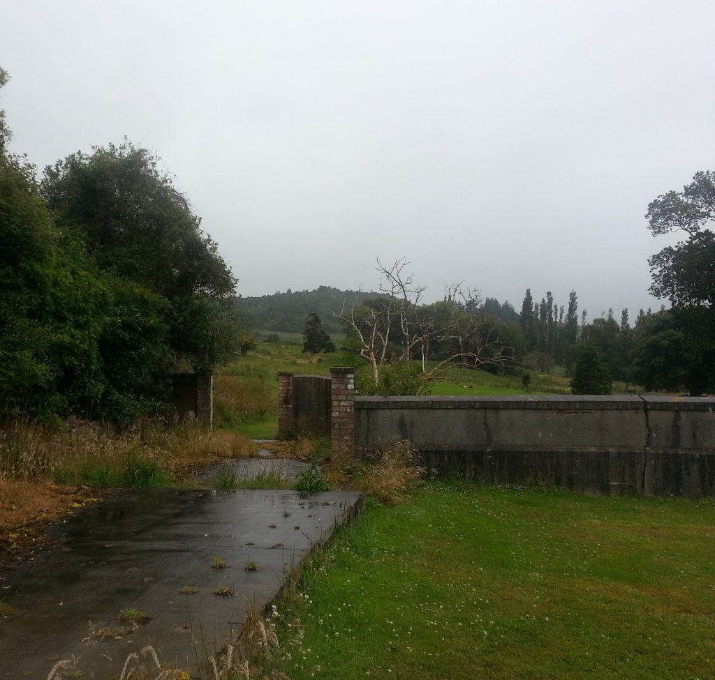 Seacliff asylum ruin