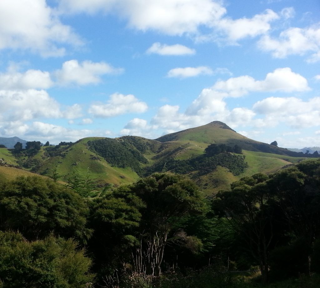 Looking toward one of the Nyhon farms, obscured by a hill