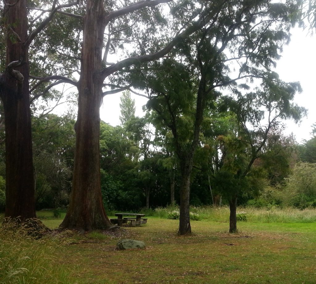 Rainy picnic area