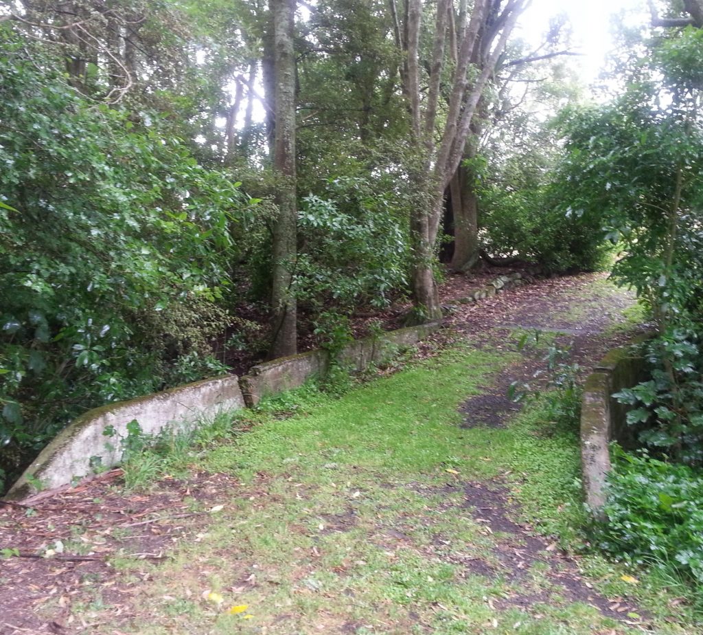 Bridge at Truby King Reserve