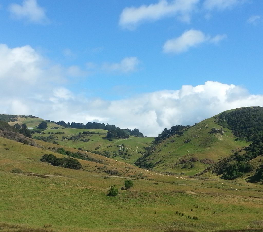 Toward Stewart's Farm