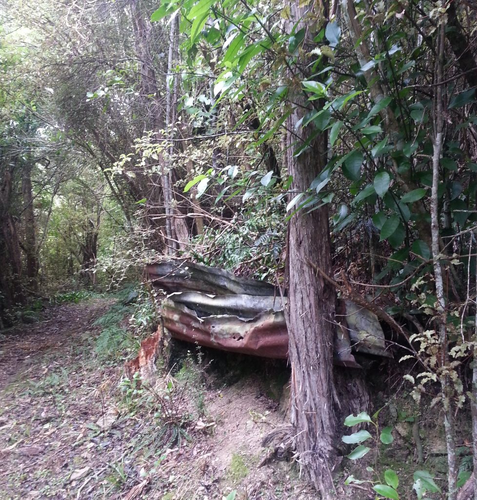 Corrugated iron on Government Track