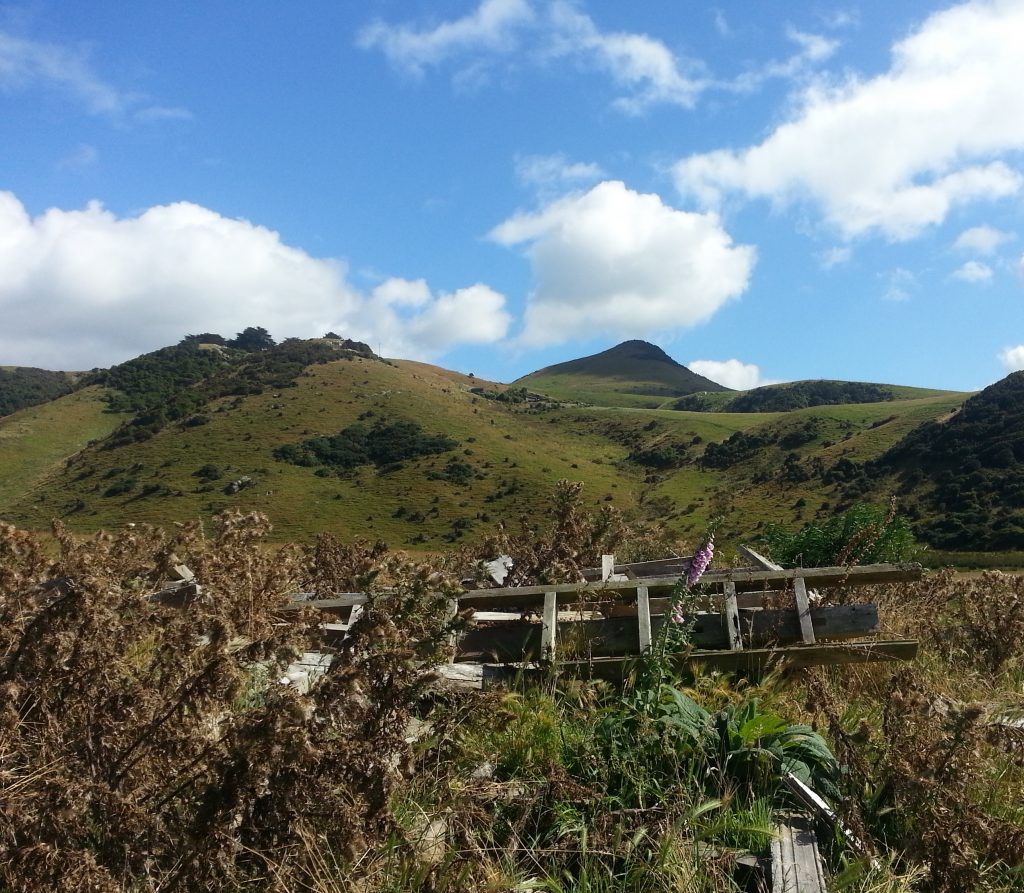 Looking back at Kerr's house