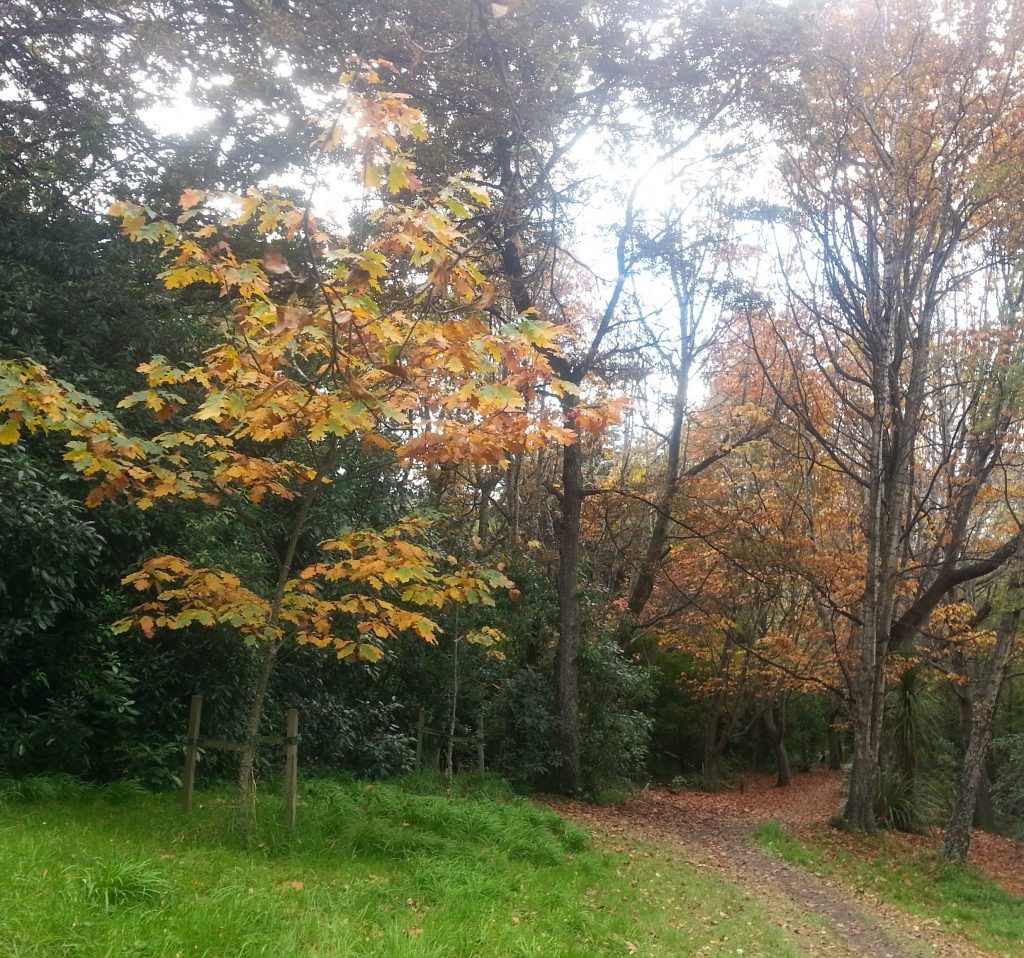 Passing through Jubilee Park