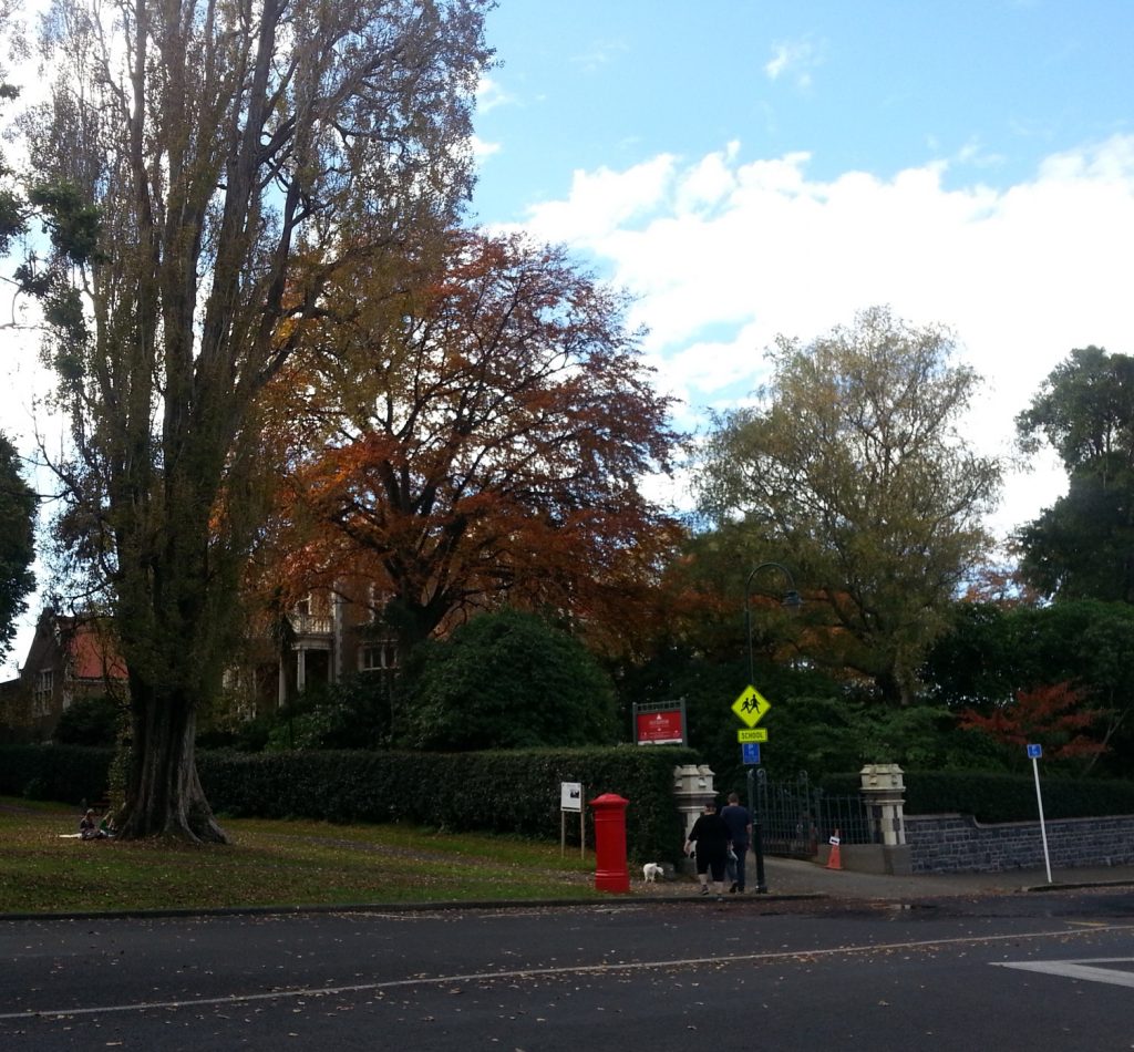 Olveston behind the trees