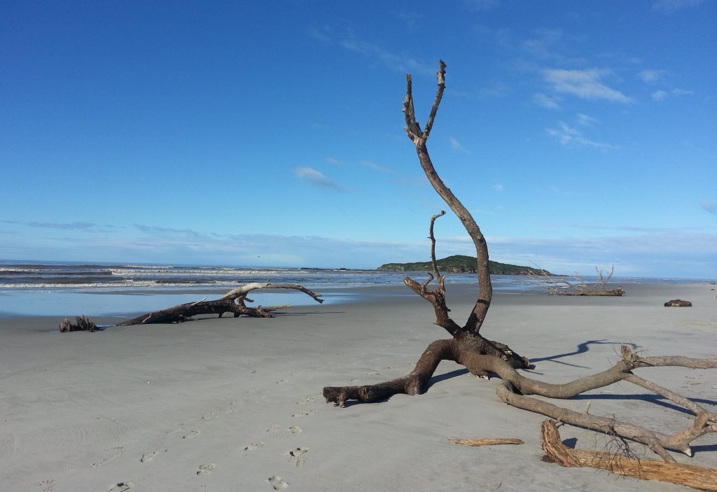 Taieri Island and beach