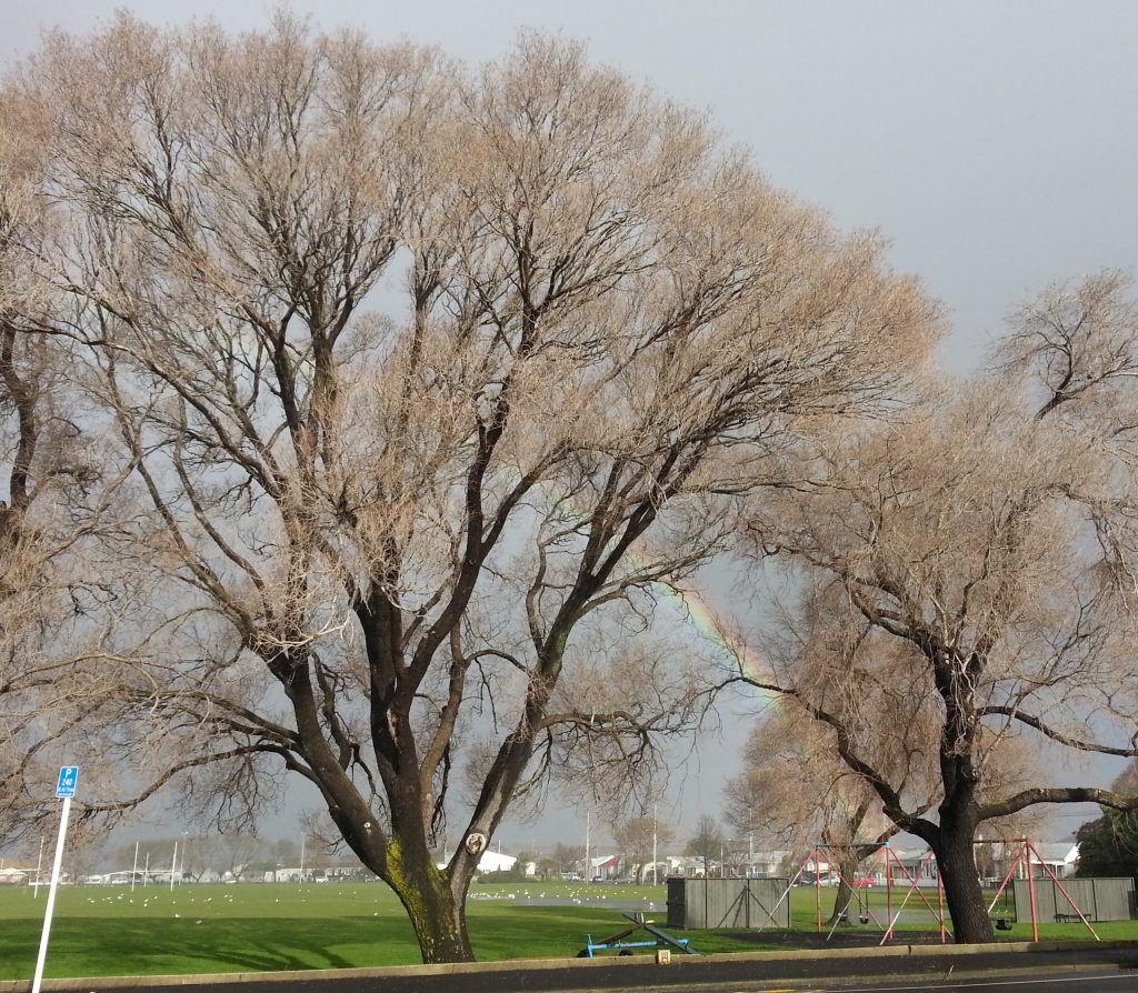 Rainbow over South Dunedin