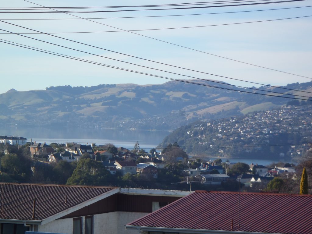 Otago Harbour from Maryhill