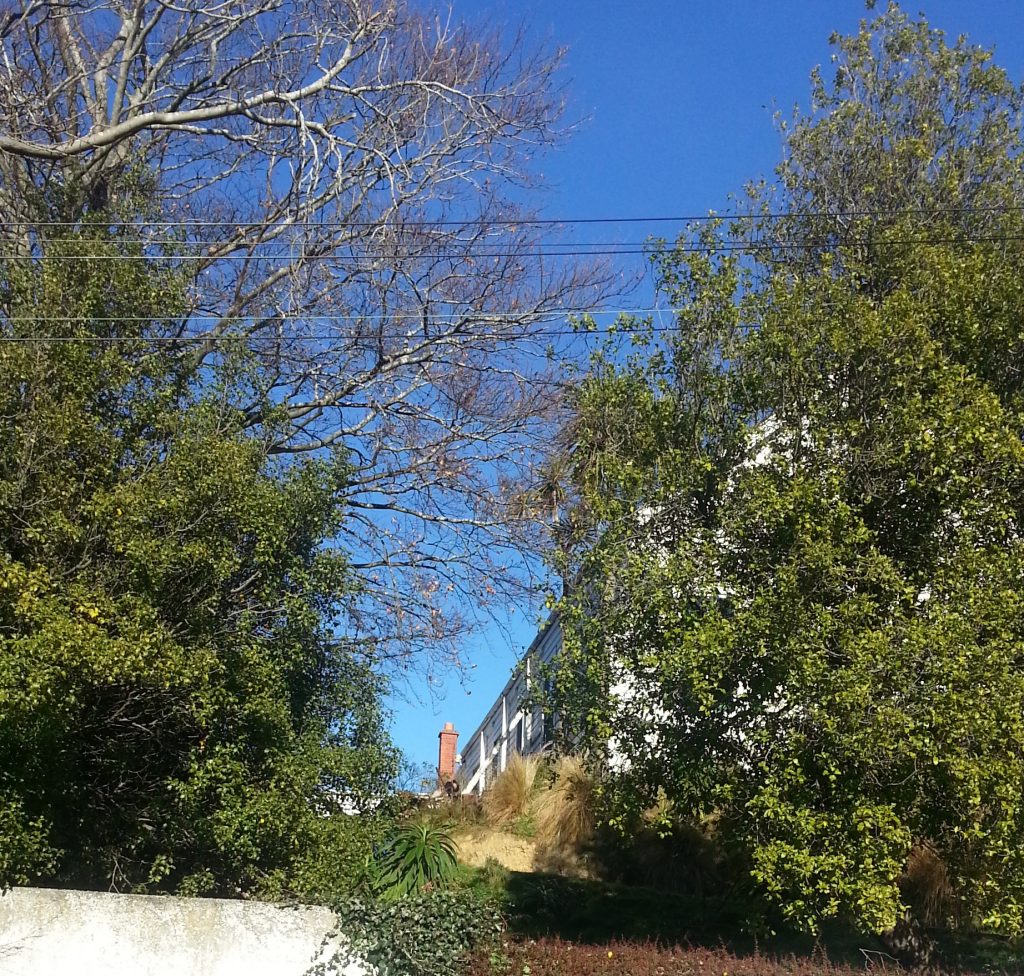 Bracing on old St Marys Anglican Church hall