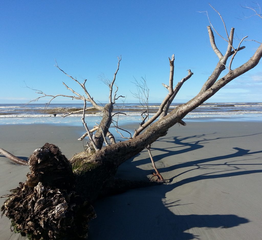 Brown waves beyond the flotsam