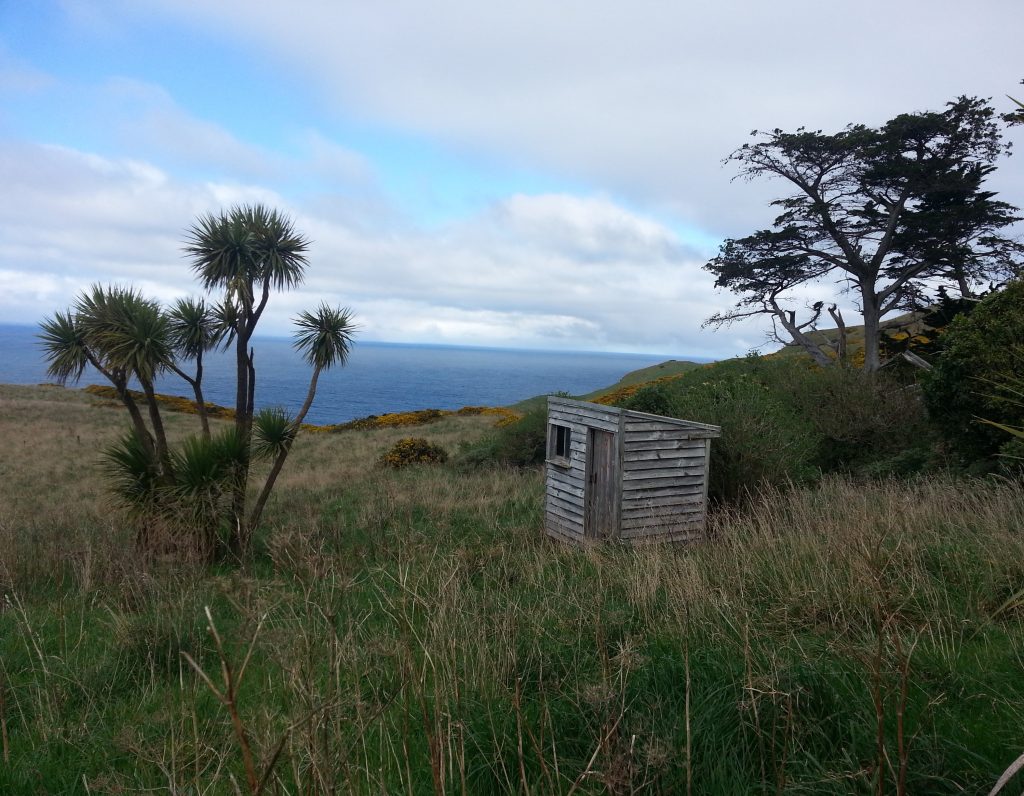 Buskin's shed