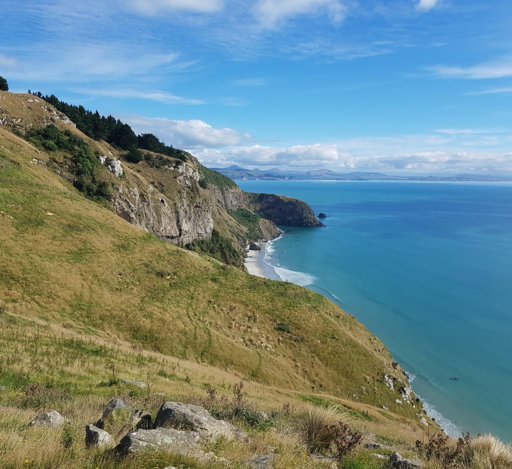 Looking north from above Aramoana