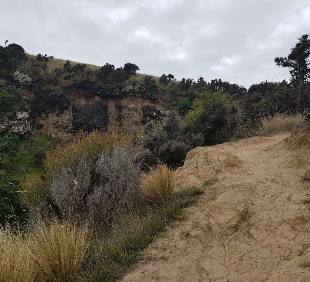 Up the hill from Aramoana