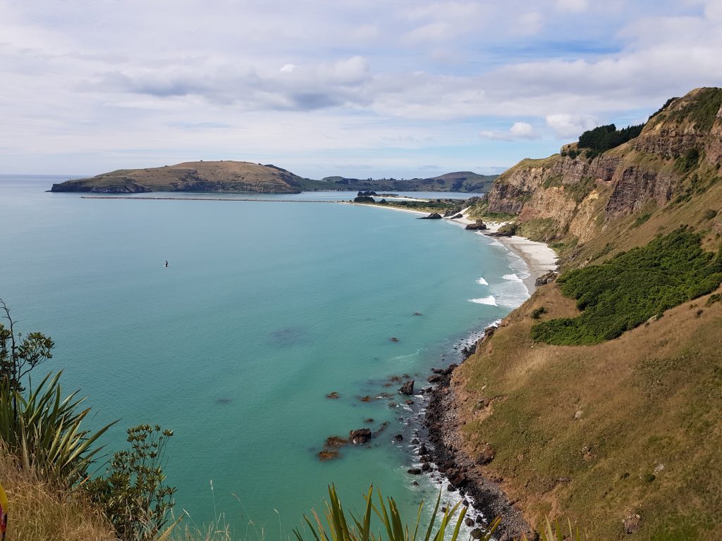 Looking south from Heyward Point