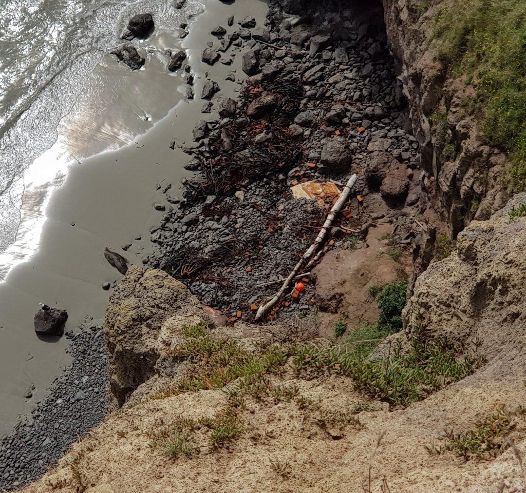  Boat wreck at Heyward Point