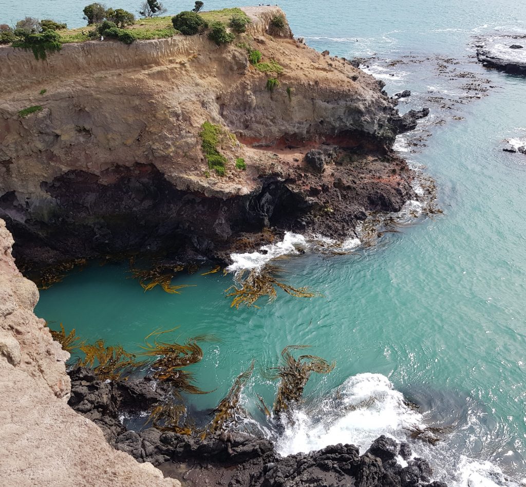 Island off Heyward Point