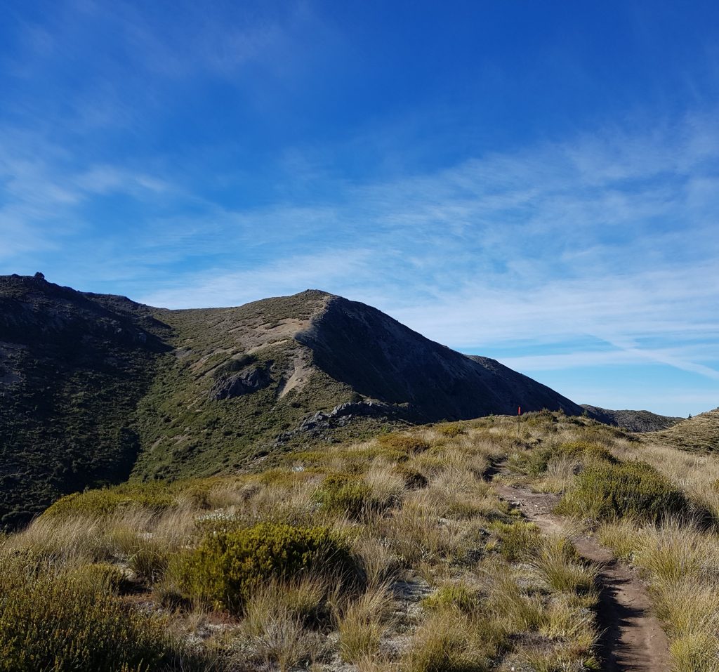 Mount Isobel track