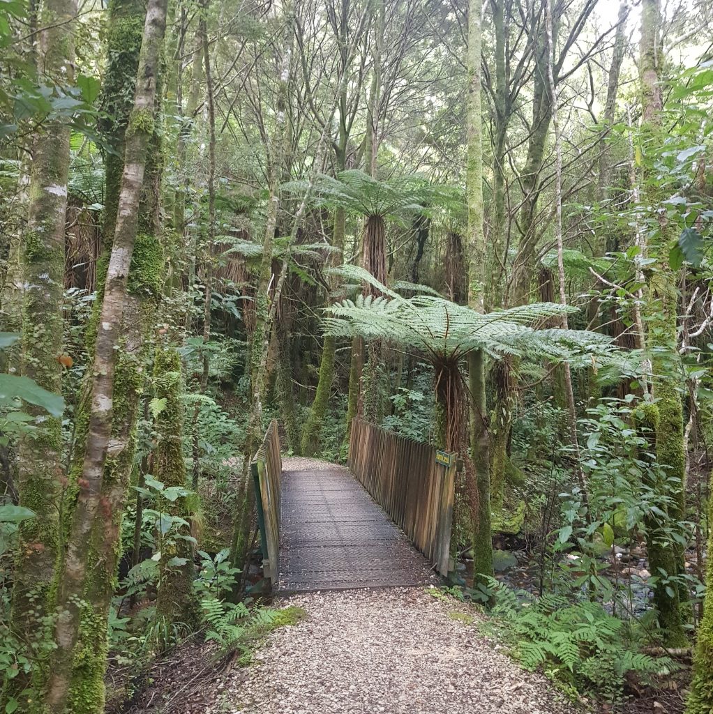 Bridge across Narya Creek