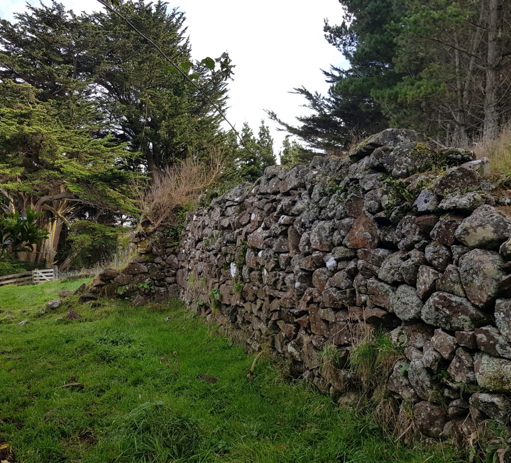 The barn or byre