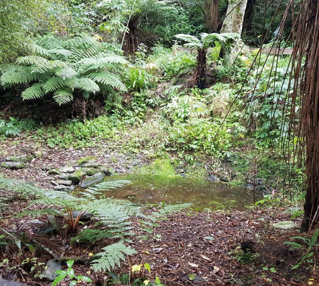 Fish pond at Logan Park