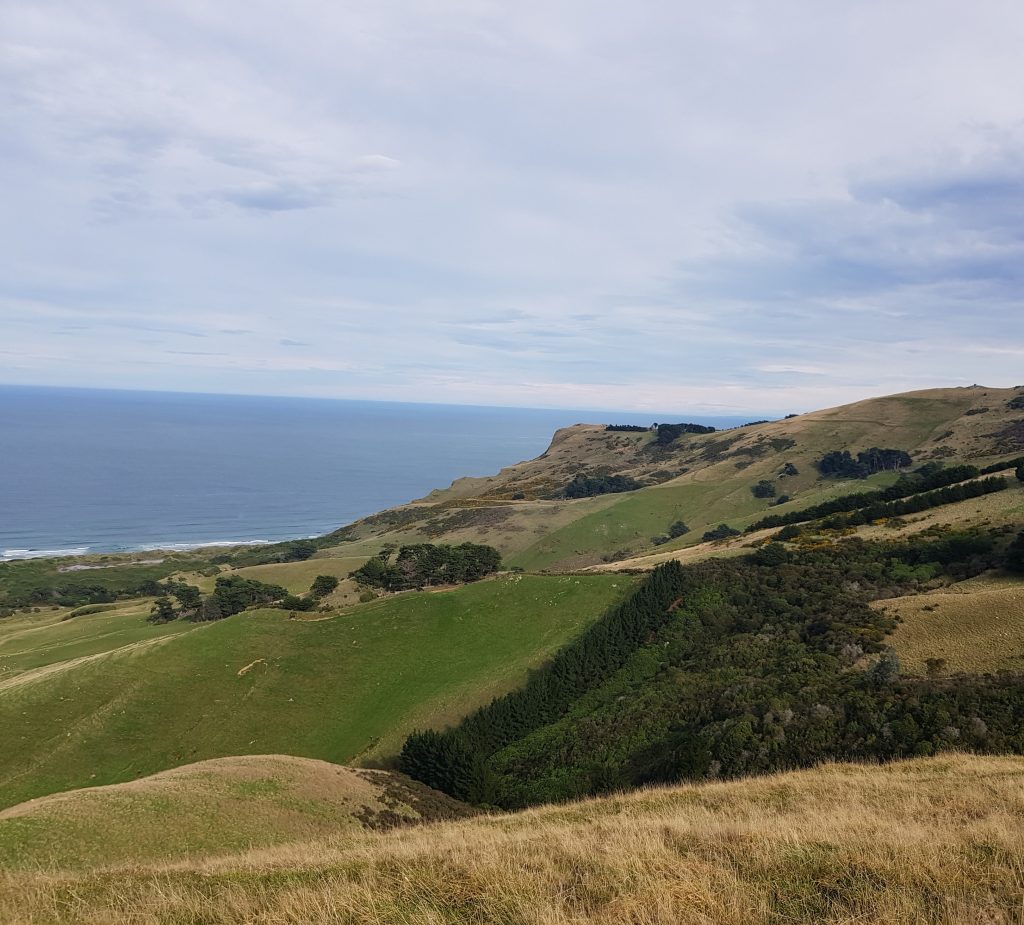 View from Paton's Hill